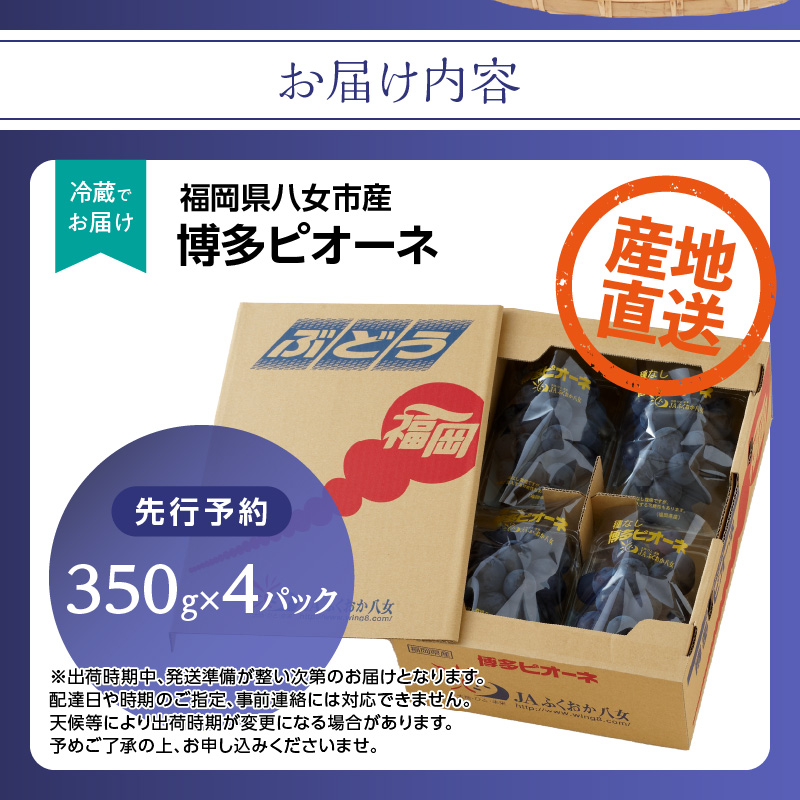 【先行受付】博多ピオーネ 1.4kg（350g×4パック）｜7月上旬～発送予定