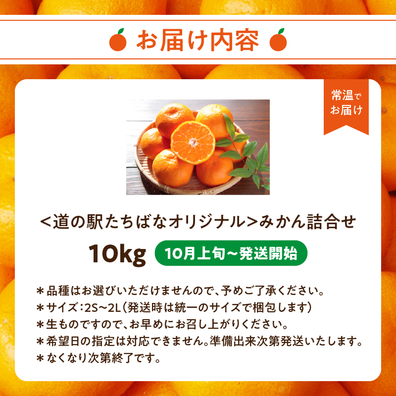 ＜道の駅たちばなオリジナル＞みかん10kg詰合せ 早生みかん 中生みかん 晩生みかん ミカン オレンジ 果物 フルーツ