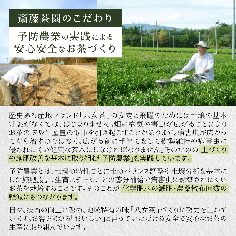 贅沢なひとときを楽しむ、氷水出しすすり茶（ティーバッグ）12個入り×5袋 お茶 八女茶 贅沢 嗜む 福岡県 八女市