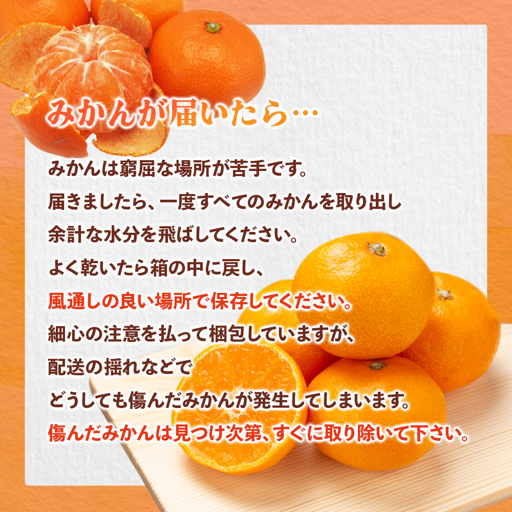 【先行受付】九州・福岡フルーツ王国八女 産地直送！旬のみかん 約10kg【2026年10月～12月頃発送】＜配送不可：北海道・沖縄・離島＞ みかん 旬 早生 レギュラー No.1 産地直送 福岡県 八女市