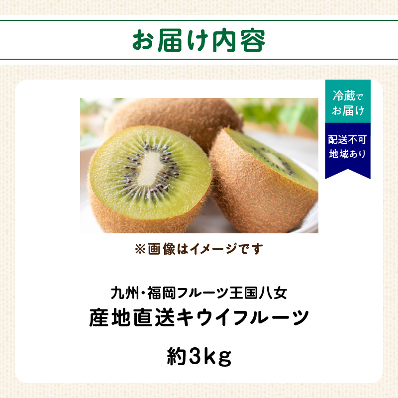 九州・福岡フルーツ王国八女 産地直送キウイフルーツ 約3.0kg【2026年12月発送開始】＜配送不可：北海道・沖縄・離島＞ フルーツ ヘイワード 産地直送 期間限定 福岡県 八女市