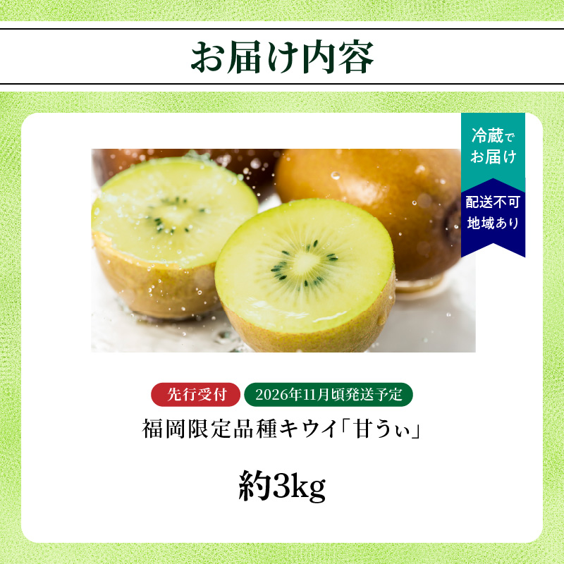 【先行受付：2026年11月頃発送開始】福岡限定品種キウイ「甘うぃ」約3kg<配送不可地域：北海道・沖縄・離島>  先行受付 キウイ キウイフルーツ フルーツ 果物 くだもの 甘い 高糖度 希少 オリジナル品種 新品種 新ブランド