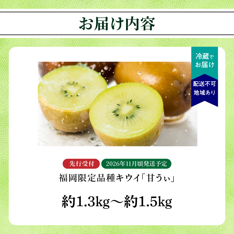 【先行受付：2026年11月頃発送開始】福岡限定品種キウイ「甘うぃ」約1.3～1.5kg <配送不可地域：北海道・沖縄・離島>  先行受付 キウイ キウイフルーツ フルーツ 果物 くだもの 甘い 高糖度 希少 オリジナル品種 新品種 新ブランド 福岡県 八女市