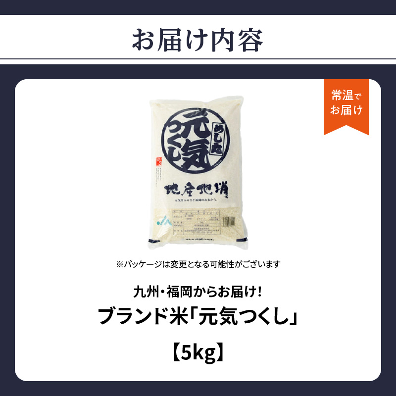 072-333-2512 【限定価格】九州・福岡からお届け！ブランド米「元気つくし」5kg×1袋 お米 米 コメ 白米 特A 直送 お弁当 おにぎり 炊きたて ツヤ 粘り もちもち 弾力 卵かけご飯 福岡県 八女市