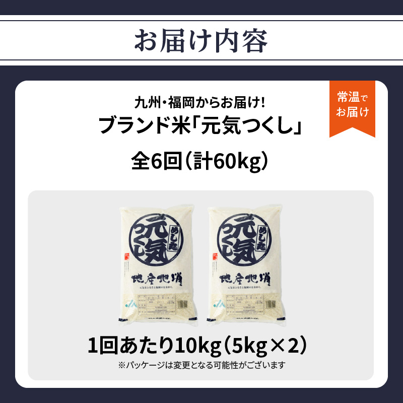 九州・福岡からお届け！ブランド米「元気つくし」定期便 10kg(5㎏×2)【全6回】  お米 米 コメ 白米 特A 直送 お弁当 おにぎり 炊きたて ツヤ 粘り もちもち 弾力 卵かけご飯 福岡県 八女市