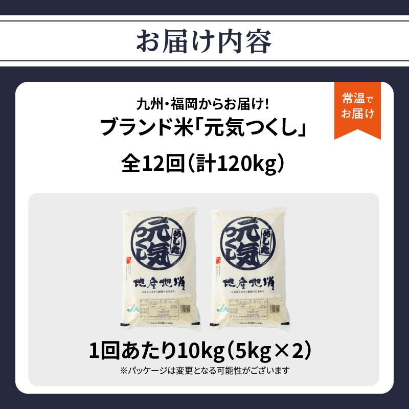 九州・福岡からお届け！ブランド米「元気つくし」定期便 10kg(5㎏×2)【全12回】  お米 米 コメ 白米 特A 直送 お弁当 おにぎり 炊きたて ツヤ 粘り もちもち 弾力 卵かけご飯 福岡県 八女市