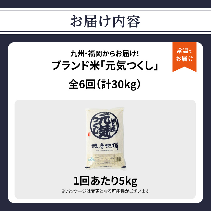 九州・福岡からお届け！ブランド米「元気つくし」定期便【全6回】  お米 米 コメ 白米 特A 直送 お弁当 おにぎり 炊きたて ツヤ 粘り もちもち 弾力 卵かけご飯 福岡県 八女市