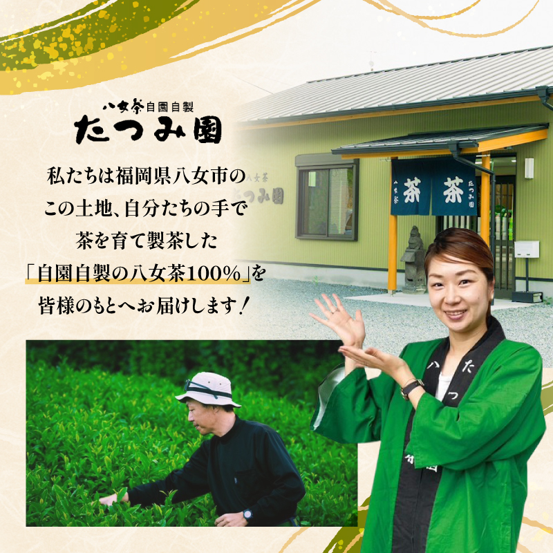 【たつみ園】八女茶 煎茶紐付きティーバッグ 3g×13包入 2個セット【メール便】  お茶 手軽 ティーバッグ 美味しい 緑茶 煎茶 水出し お取り寄せ ギフト 福岡県 八女市