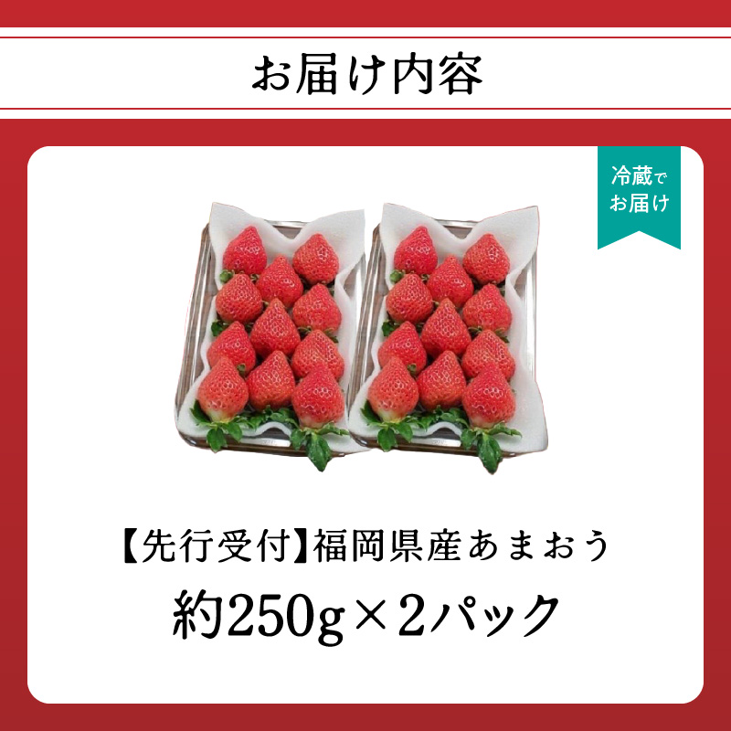 福岡県産あまおう 約250g×2パック  いちご イチゴ 苺 あまおう フルーツ 果物 くだもの 250g 2パック 福岡県 八女市
