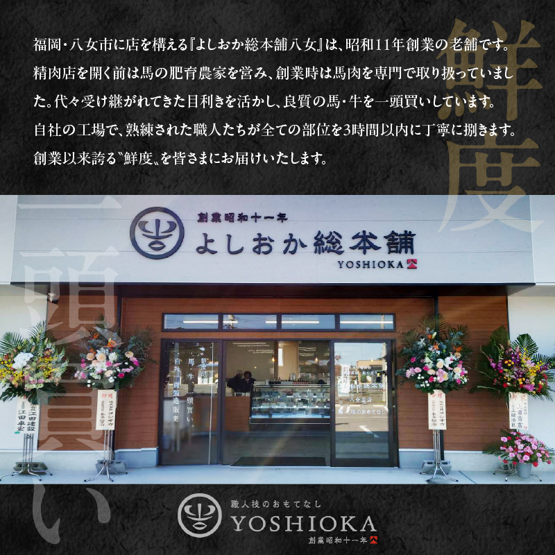 《福岡肥育》国産馬刺したれ付き【赤身】100g×5【冷凍】