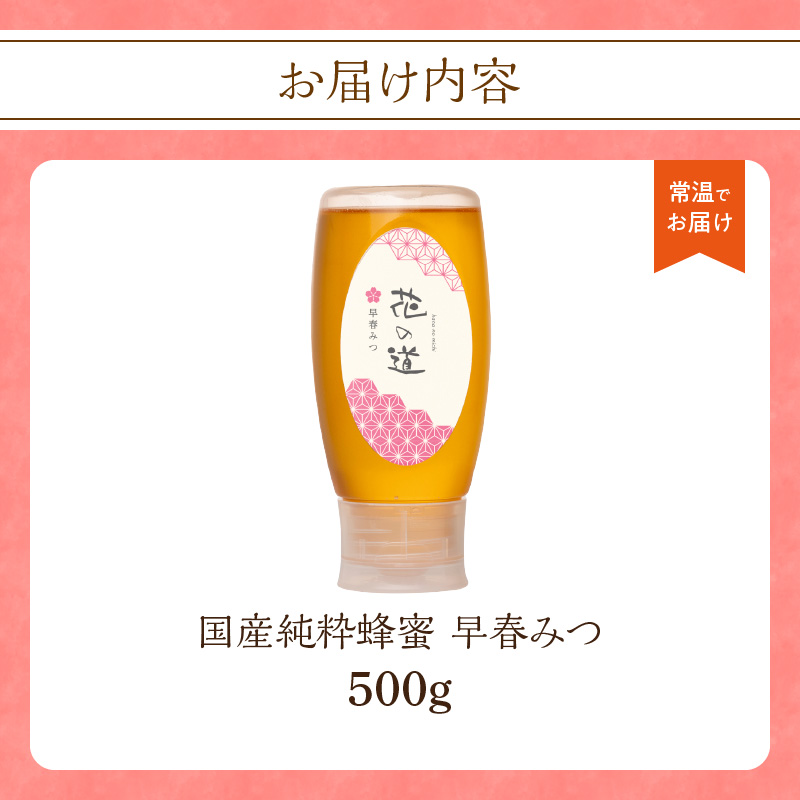 国産純粋蜂蜜 早春みつ 500g 非加熱 はちみつ ハチミツ 生はちみつ ローハニー オススメ 贈答 贈り物 プレゼント 八女市
