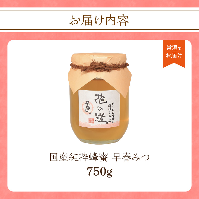 国産純粋蜂蜜 早春みつ 750g 非加熱 はちみつ ハチミツ 生はちみつ ローハニー オススメ 贈答 贈り物 プレゼント 八女市