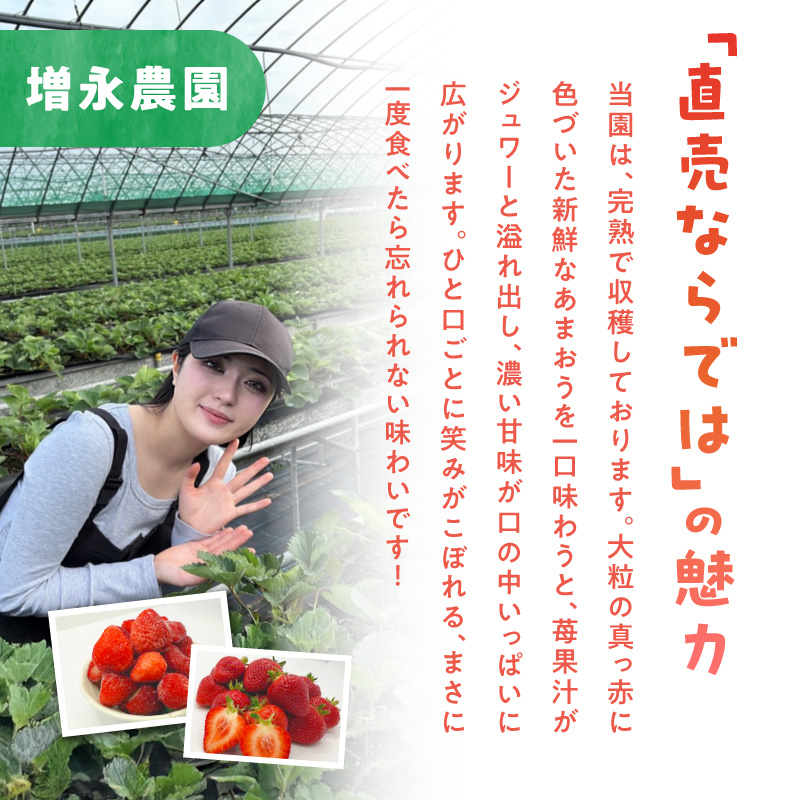 【増永農園】 あまおう 270g×2パック 【2026年1月より順次発送】  ジューシー フレッシュ 苺 果物 くだもの スイーツ作り 数量限定 イチゴ 期間限定 美味しい いちご 福岡県 八女市