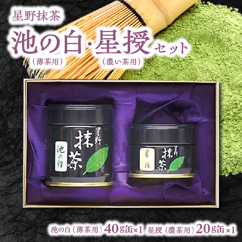 星野抹茶 星授（濃い茶用）・池の白（薄茶用） セット 抹茶 濃い茶 薄茶 星野茶 抹茶粉 お稽古 茶道
