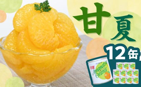 甘味と苦味のバランスが特徴 甘夏缶詰(全果粒、身割れ混合)1２缶入
