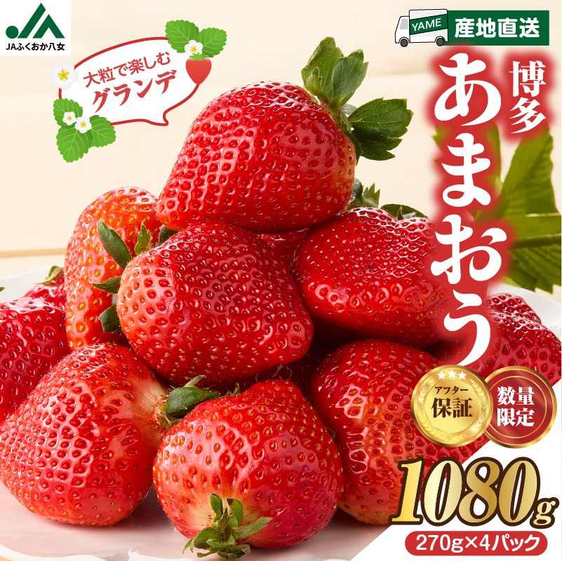 【先行受付：2026年2月発送開始】博多あまおうＧ270g×4パック｜ＪＡふくおか八女 あまおう いちご 苺 イチゴ フルーツ 果物 くだもの 人気 旬 福岡県産 大粒 アフター補償 数量限定 期間限定 産地直送 グランデ 福岡県 八女市