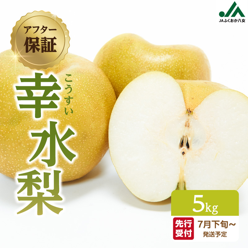 【先行受付】幸水梨（5kg）【ＪＡふくおか八女】｜2026年7月下旬～発送予定  梨 なし 幸水 幸水梨 フルーツ 果物 くだもの みずみずしい 爽やか 甘い シャリシャリ食感 産地直送 デザート 旬 甘い