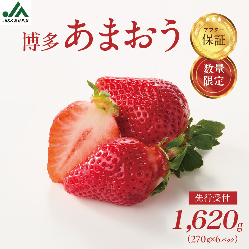 【先行受付：2026年2月発送開始】博多あまおうＧ270g×6パック｜ＪＡふくおか八女 あまおう いちご 苺 イチゴ フルーツ 果物 くだもの 人気  旬 福岡県産 大粒 アフター補償 数量限定 期間限定 産地直送 グランデ 福岡県 八女市