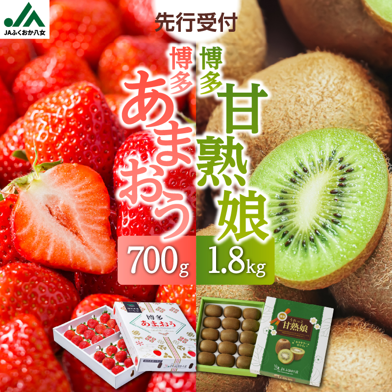 博多あまおう約700g＆博多甘熟娘キウイ約1.8kgセット（化粧箱）【2026年1月発送開始】 あまおう いちご 苺 イチゴ キウイフルーツ 果物 くだもの フルーツ セット アフター補償 ギフト 化粧箱入り 贈答品 プレゼント 贈り物 数量限定 期間限定 産地直送 福岡県 八女市