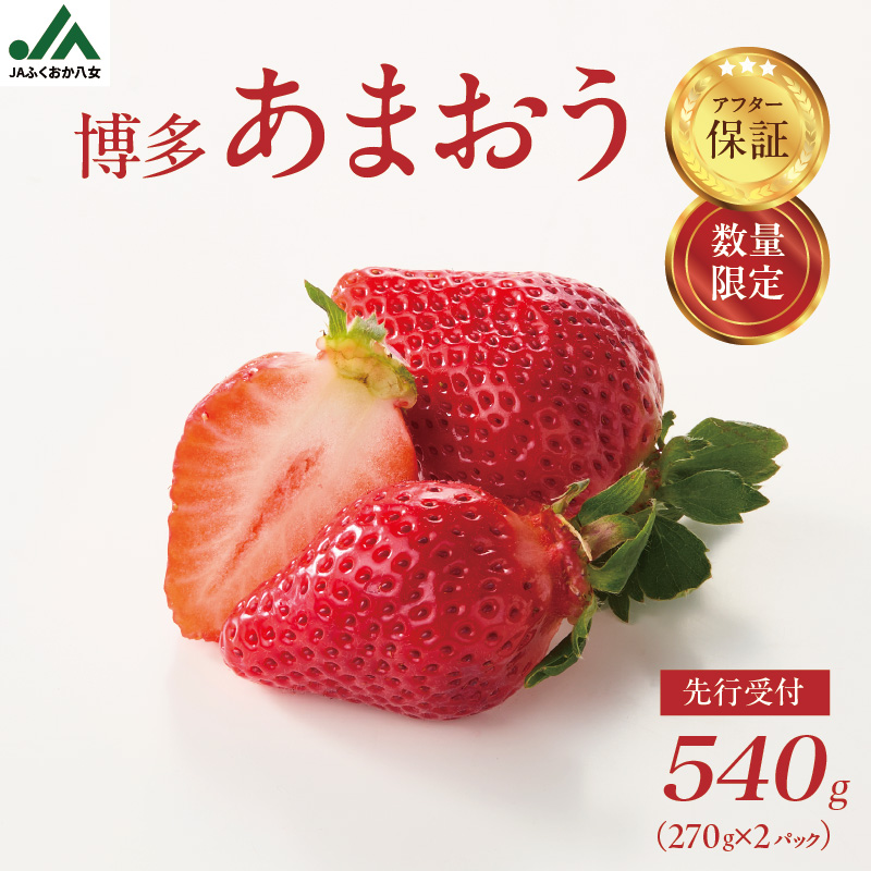 【先行受付：2026年2月発送開始】博多あまおうＧ270g×2パック｜ＪＡふくおか八女 あまおう いちご 苺 イチゴ フルーツ 果物 くだもの 人気  旬 福岡県産 大粒 アフター補償 数量限定 期間限定 産地直送 グランデ 福岡県 八女市