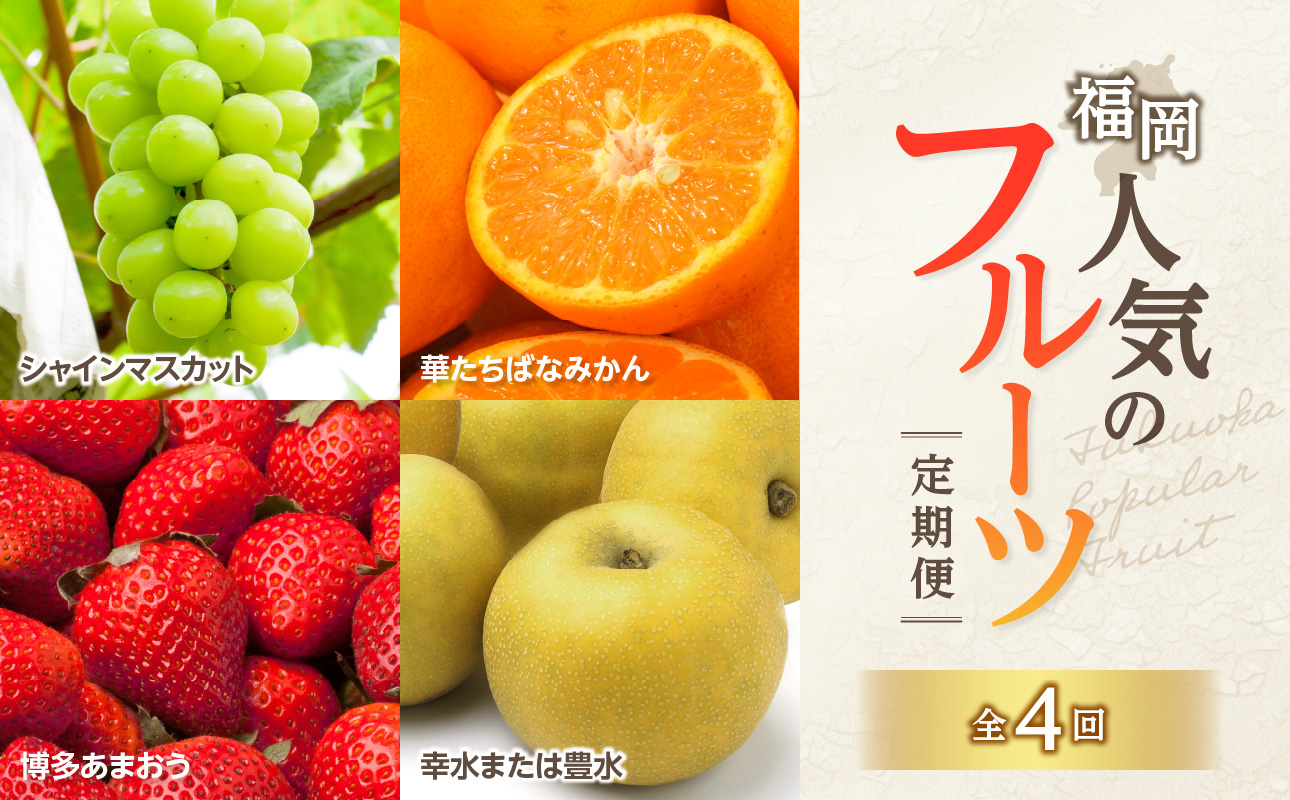 福岡人気のフルーツ定期便【全4回】ふるさと納税で人気のフルーツお届け便　JAふくおか八女からお届け！！ 梨 豊水 幸水 シャインマスカット みかん ミカン あまおう いちご 苺 イチゴ フルーツ 果物 くだもの 人気 旬 高糖度 甘い 福岡県産 アフター補償 数量限定 期間限定 産地直送 全4回 定期便 福岡県 八女市