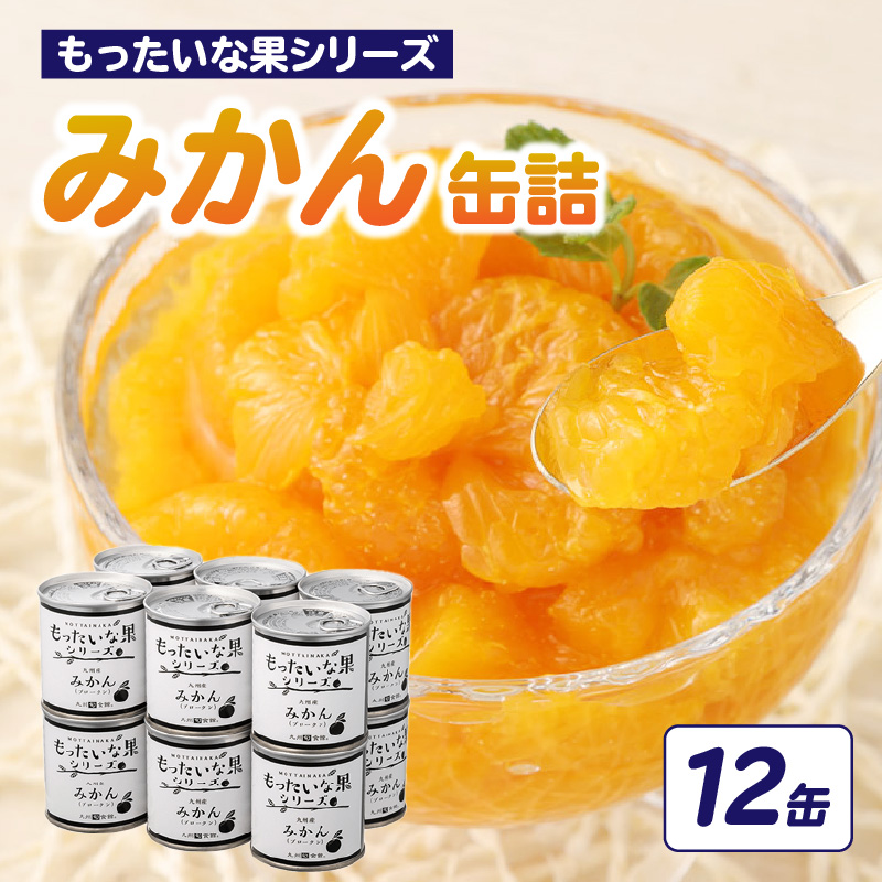 【訳あり】 もったいな果シリーズ みかん 缶詰 5号缶×12缶 セット 国産