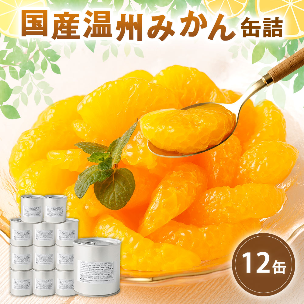 缶詰 国産 温州みかん缶詰12缶入（全粒）
