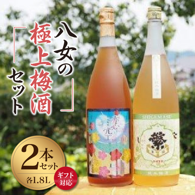 【ギフト用】八女の極上梅酒セット（ギフト対応）純米酒仕込み 飲み比べ 本格梅酒 ロック お酒 ギフト プレゼント 福岡県 八女市