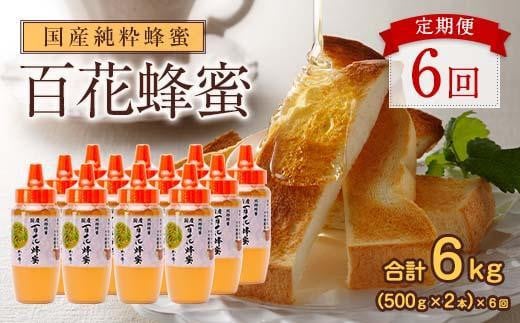 【全6回】 定期便 かの蜂 国産 百花蜂蜜 合計6kg（とんがり容器500gを毎月2本お届け） 純粋はちみつ ハチミツ 非加熱 ハニー 大容量 長期保存 美容 健康 健康食品 定期便