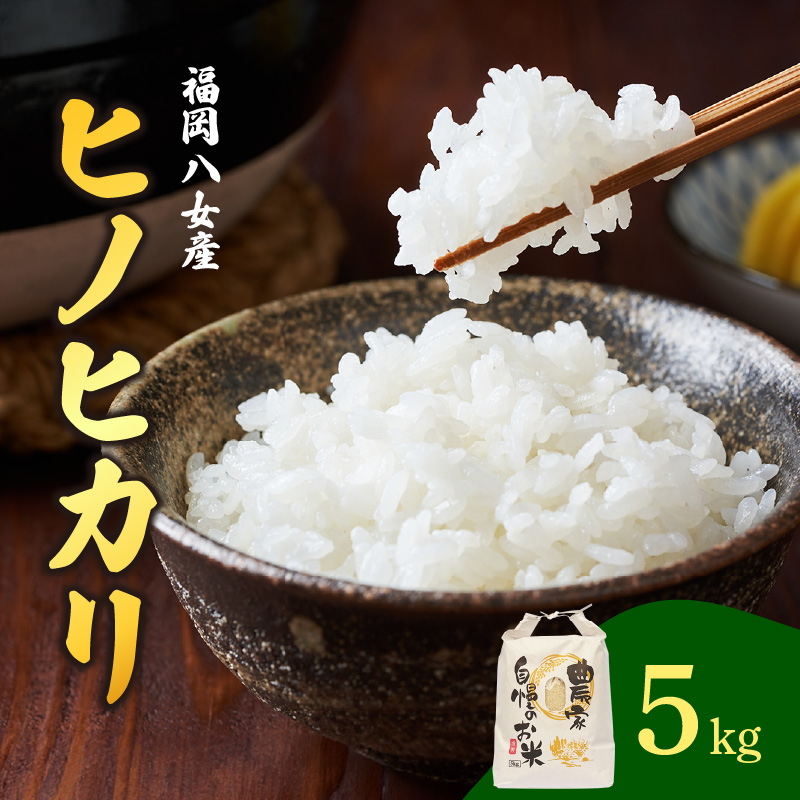 八女産ヒノヒカリ 5kg！ 清流矢部川と大地の恵み 米 白米 ご飯 粘り 甘み コク