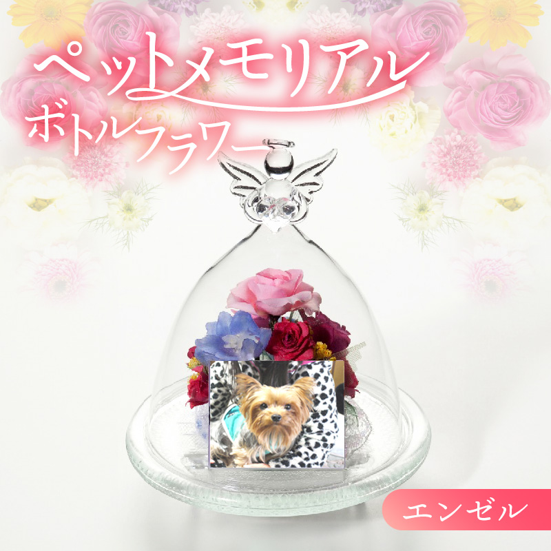 ペットメモリアル ボトルフラワー お供えお悔やみ エンゼル ドライフラワー ボトルフラワー インテリア 思い出 写真 メモリアル
