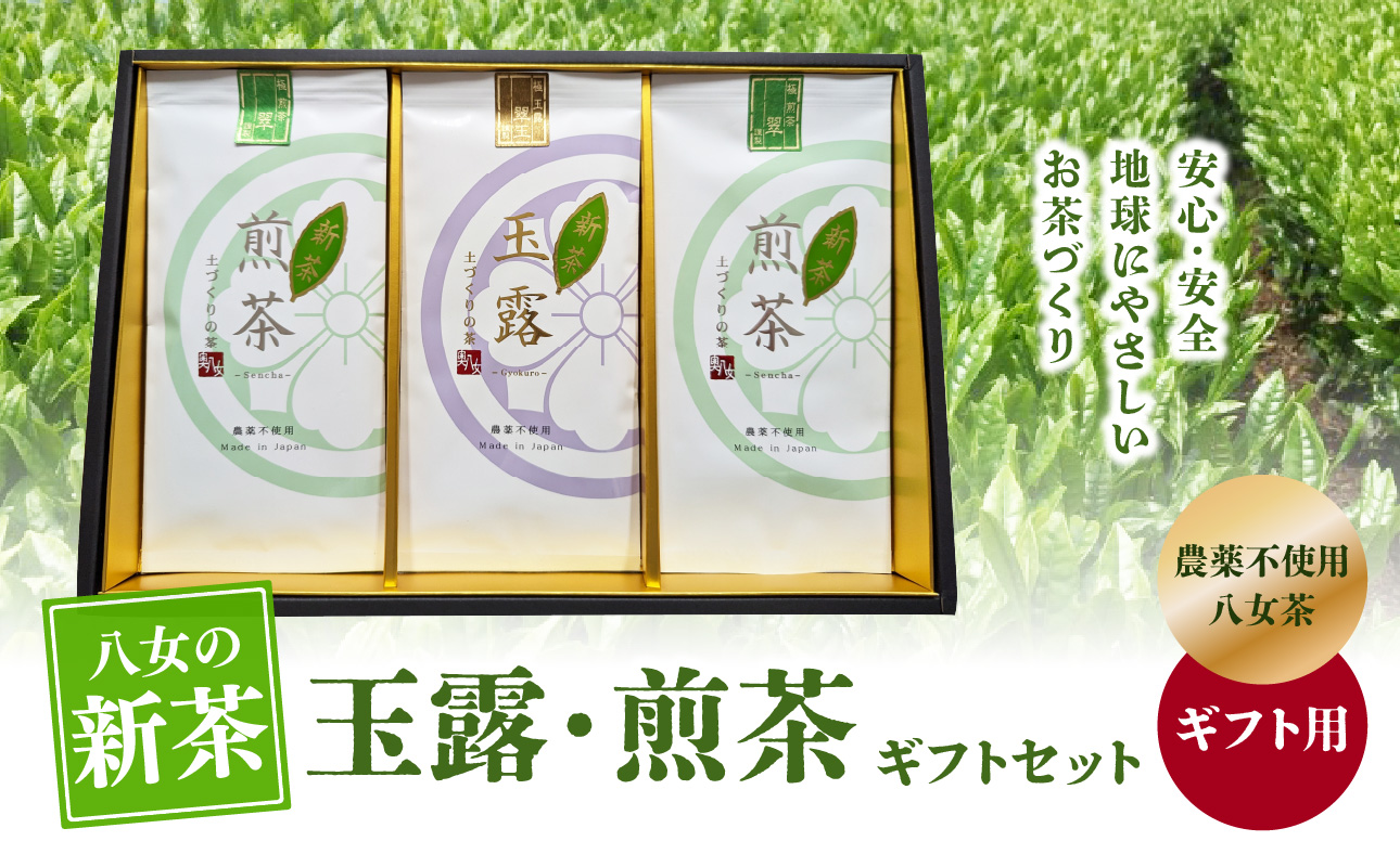 【2025年新茶】【ギフト用】＜農薬不使用＞玉露・煎茶ギフトセット【2025年5月下旬発送開始】