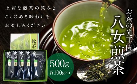 【お茶の光玉園】八女煎茶 100g×5本セット お茶 煎茶 緑茶 茶葉 八女茶 ギフト プレゼント 手土産 贈答用 福岡県 八女市