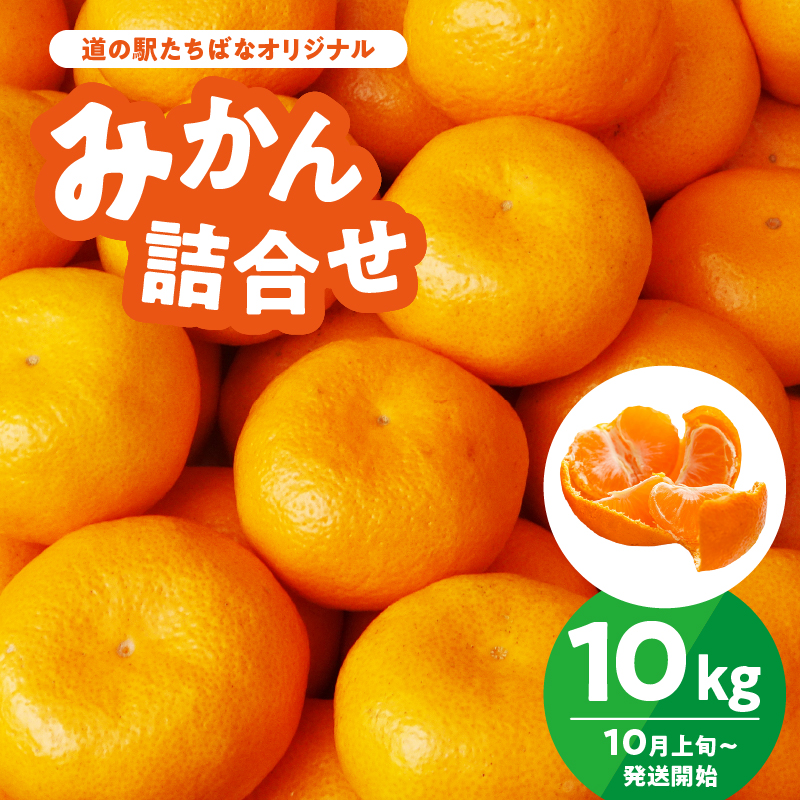 ＜道の駅たちばなオリジナル＞みかん10kg詰合せ 早生みかん 中生みかん 晩生みかん ミカン オレンジ 果物 フルーツ