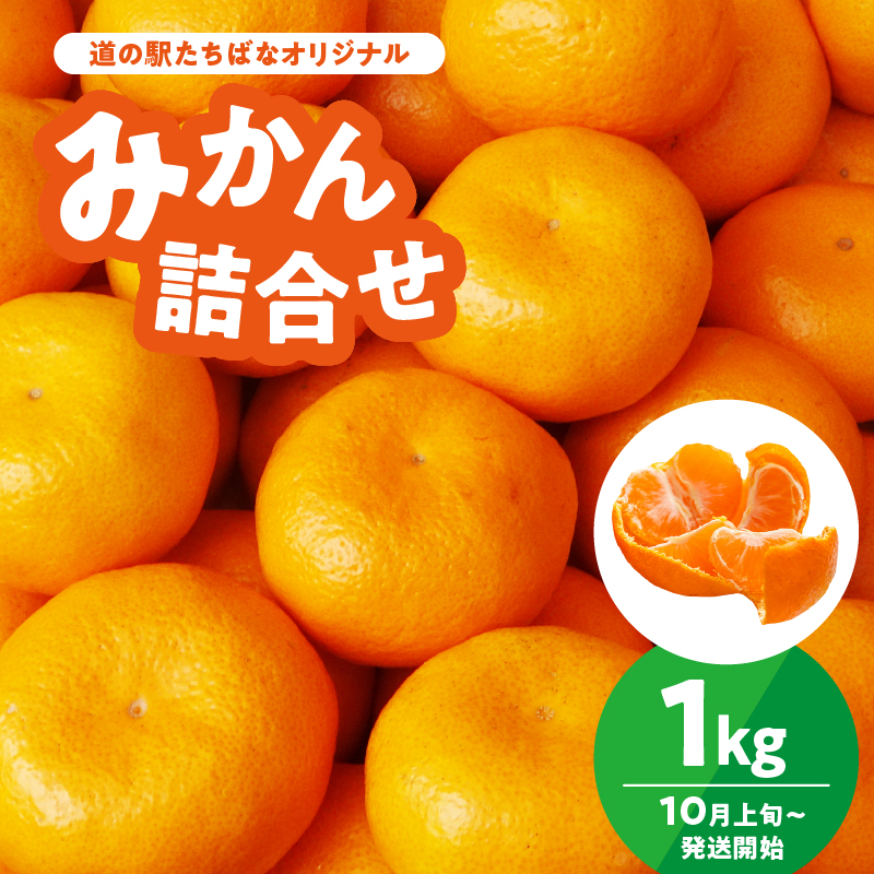 ＜道の駅たちばなオリジナル＞みかん1kg詰合せ 早生みかん 中生みかん 晩生みかん ミカン オレンジ 果物 フルーツ