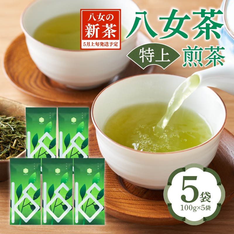 【2026年新茶】八女茶 特上煎茶 100g×5袋 茶 お茶 日本茶 緑茶 八女茶 新茶 福岡県 八女市