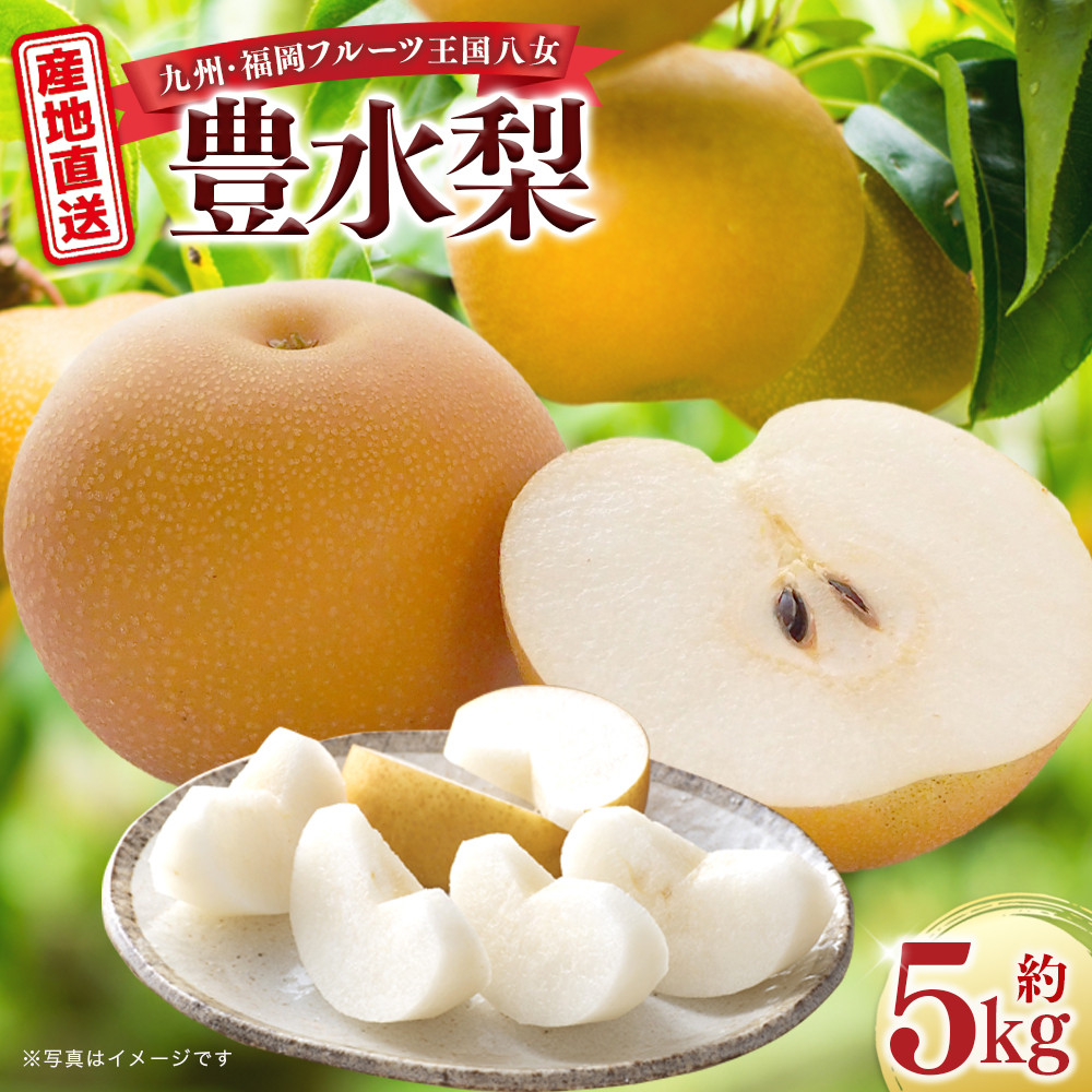 産地直送！ 梨(豊水) 約5kg 【2026年8～9月発送】九州・福岡フルーツ王国八女 ＜配送不可：北海道・沖縄・離島＞ なし ナシ 果物 果実 フルーツ 先行予約 デザート 旬 新鮮 甘い 甘み ジューシー みずみずしい 果汁 国産 季節限定 冷蔵配送 数量限定 秋の味覚