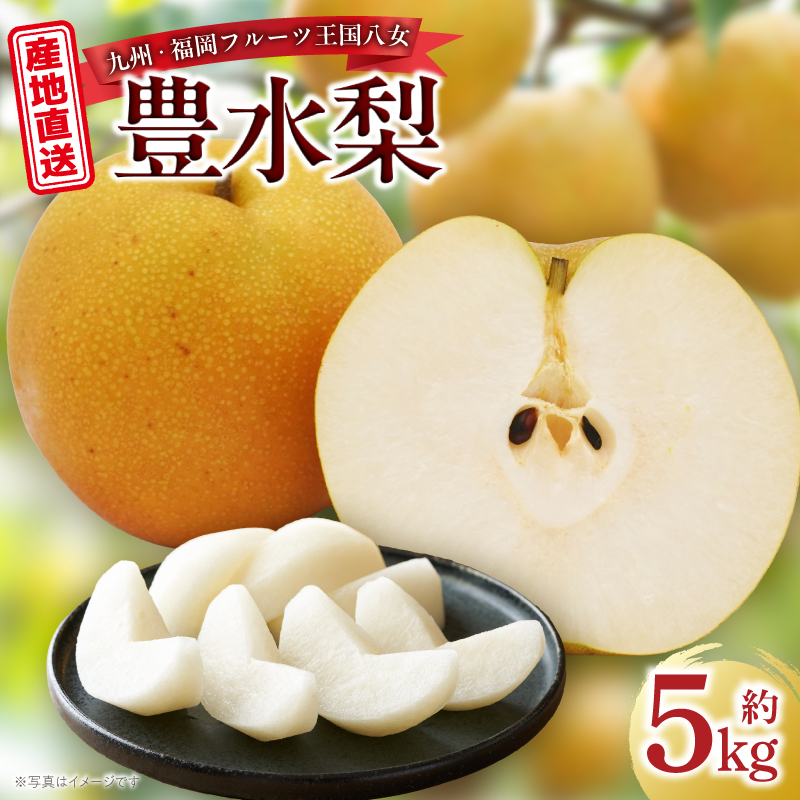 産地直送！ 梨(豊水) 約5kg 【2026年8～9月発送】九州・福岡フルーツ王国八女 ＜配送不可：北海道・沖縄・離島＞ なし ナシ 果物 果実 フルーツ 先行予約 デザート 旬 新鮮 甘い 甘み ジューシー みずみずしい 果汁 国産 季節限定 冷蔵配送 数量限定 秋の味覚