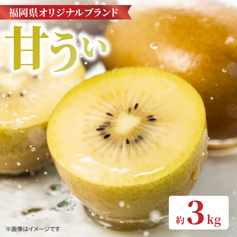 【先行受付：2026年11月頃発送開始】福岡限定品種キウイ「甘うぃ」約3kg<配送不可地域：北海道・沖縄・離島>  先行受付 キウイ キウイフルーツ フルーツ 果物 くだもの 甘い 高糖度 希少 オリジナル品種 新品種 新ブランド