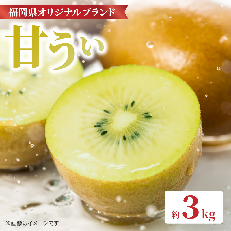 【先行受付：2026年11月頃発送開始】福岡限定品種キウイ「甘うぃ」約3kg<配送不可地域：北海道・沖縄・離島>  先行受付 キウイ キウイフルーツ フルーツ 果物 くだもの 甘い 高糖度 希少 オリジナル品種 新品種 新ブランド
