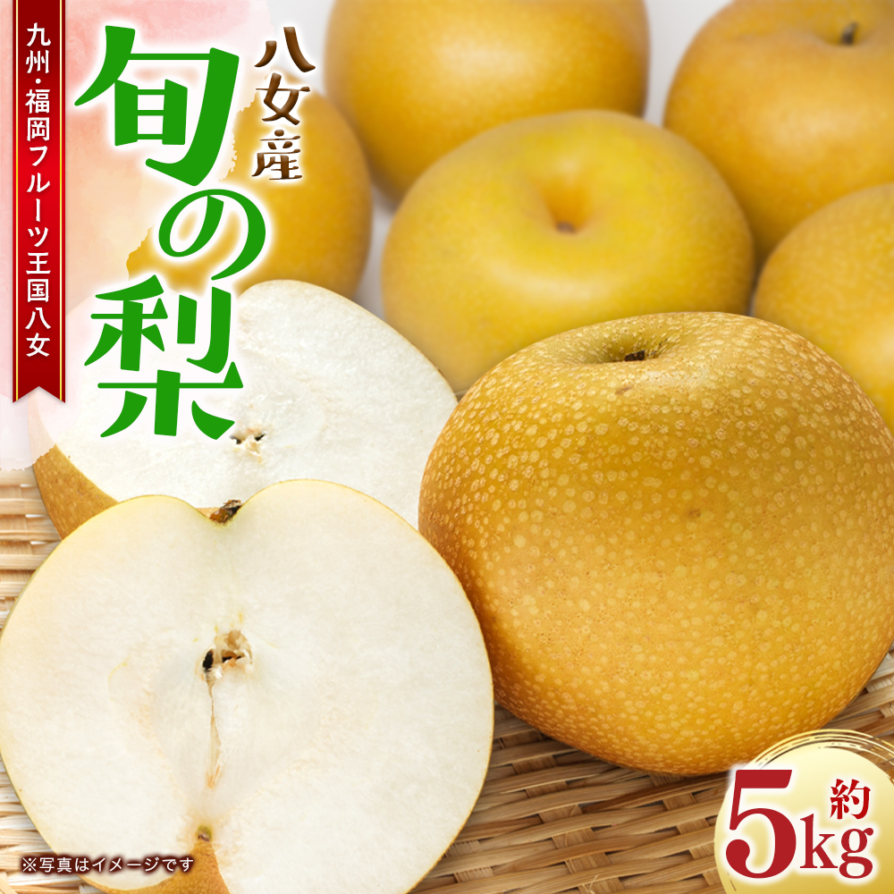 【2026年9月～10月上旬発送予定】九州福岡フルーツ王国八女 旬の梨 約5kg ＜配送不可：北海道・沖縄・離島＞ フルーツ くだもの 果物 なし ナシ 甘太 新興 王秋 産地直送 旬 秋の味覚 デザート 九州 福岡 フルーツ王国 八女