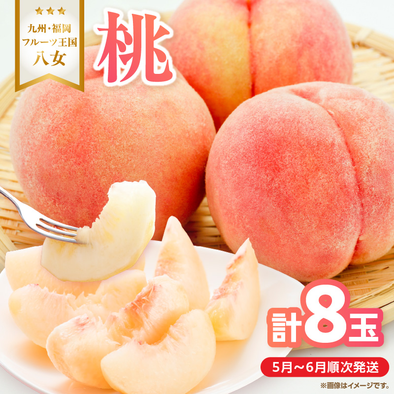 【2026年5月下旬～6月発送】九州・福岡フルーツ王国八女から直送！桃 8玉入り＜配送不可：北海道・沖縄・離島＞  県 八桃 もも モモ フルーツ くだもの 果物 産地直送 ジューシー 家庭用 自宅用 家族団らん デザート スイーツ作り 福岡女市