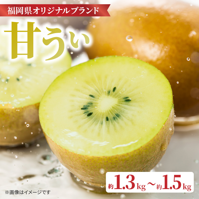 【先行受付：2026年11月頃発送開始】福岡限定品種キウイ「甘うぃ」約1.3～1.5kg <配送不可地域：北海道・沖縄・離島>  先行受付 キウイ キウイフルーツ フルーツ 果物 くだもの 甘い 高糖度 希少 オリジナル品種 新品種 新ブランド 福岡県 八女市