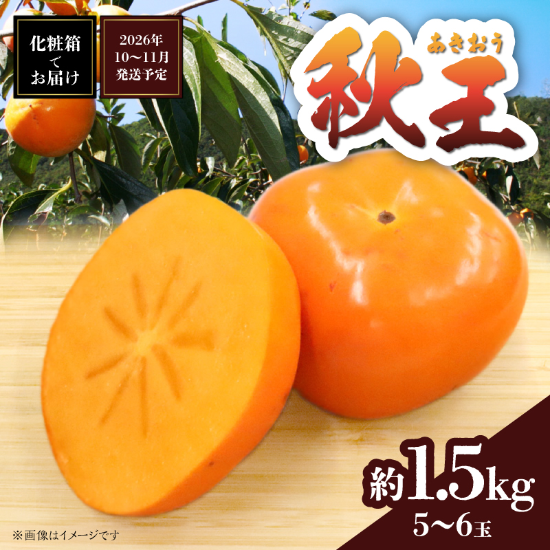 秋の贅沢、濃厚であま～い柿の新ブランド「秋王」約1.5kg(5～6玉入り) ＜配送不可：北海道・沖縄・離島＞ 柿 フルーツ 秋の味覚 濃厚 サクサク 大玉 福岡県 八女市 