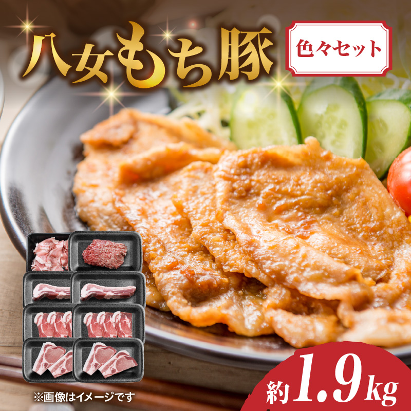 八女もち豚色々セット 計約1.9キロ