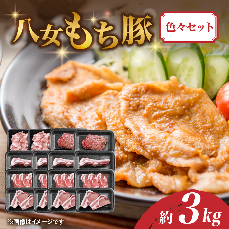 八女もち豚色々セット 計約3キロ