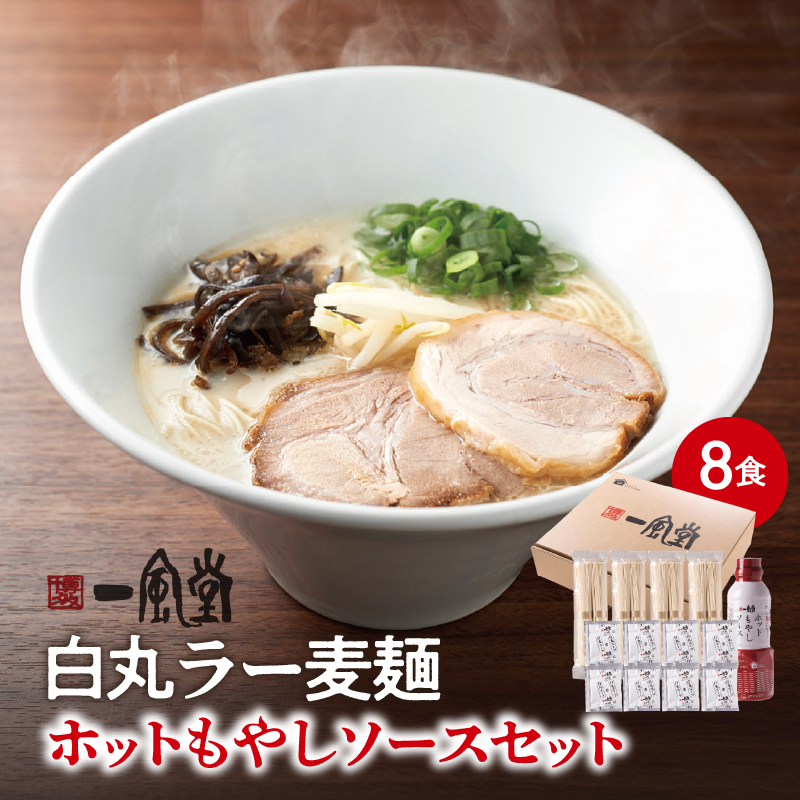 【一風堂】白丸ラー麦麺セット＆ホットもやしソースセット  ラーメン とんこつ 豚骨 豚骨スープ ストレート麺 ラー麦 本格 福岡 ご当地 お取り寄せ 福岡県 八女市