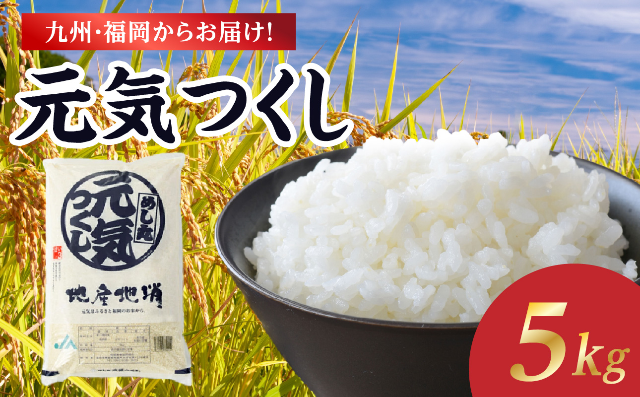 072-333 九州・福岡からお届け！ブランド米「元気つくし」5kg×1袋