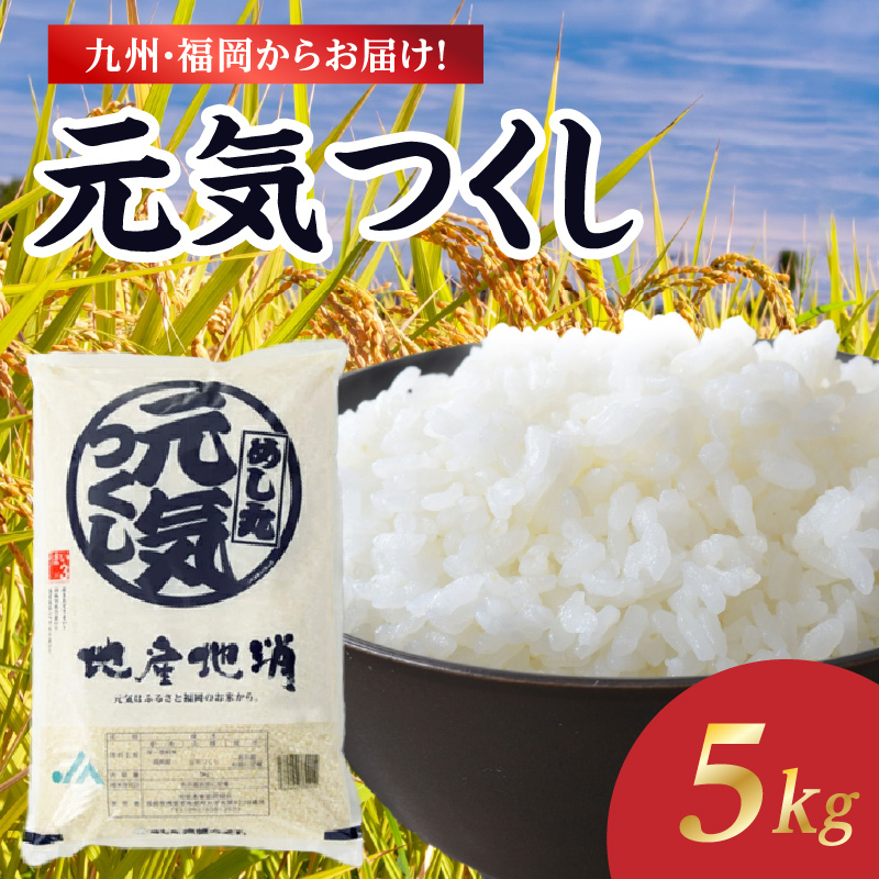 072-333 九州・福岡からお届け！ブランド米「元気つくし」5kg×1袋 お米 米 コメ 白米 特A 直送 お弁当 おにぎり 炊きたて ツヤ 粘り もちもち 弾力 卵かけご飯 福岡県 八女市