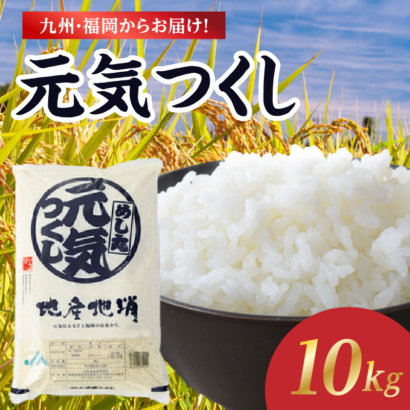 【限定価格】九州・福岡からお届け！ブランド米「元気つくし」 10kg(5㎏×2)  お米 米 コメ 白米 特A 直送 お弁当 おにぎり 炊きたて ツヤ 粘り もちもち 弾力 卵かけご飯 福岡県 八女市